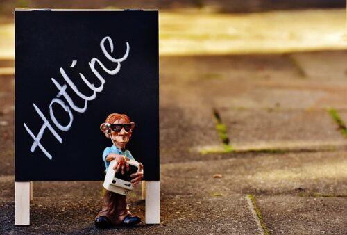 Image risedandd.co.uk 2146 1746011864762