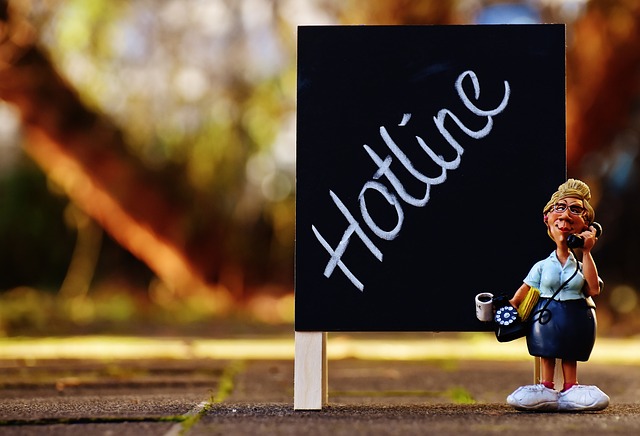 Hotline hỗ trợ 8xbet: Website đánh bạc trực tuyến hàng đầu